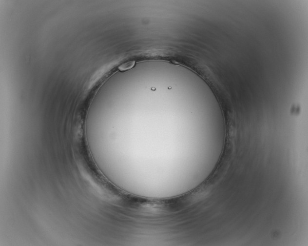 X0000113100164200909111100