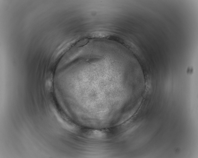 X0000113100166200909111100