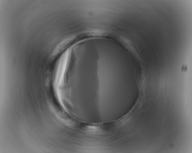 X0000113100167200909111100