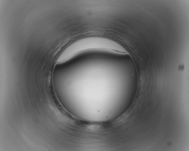 X0000113100168200909111100