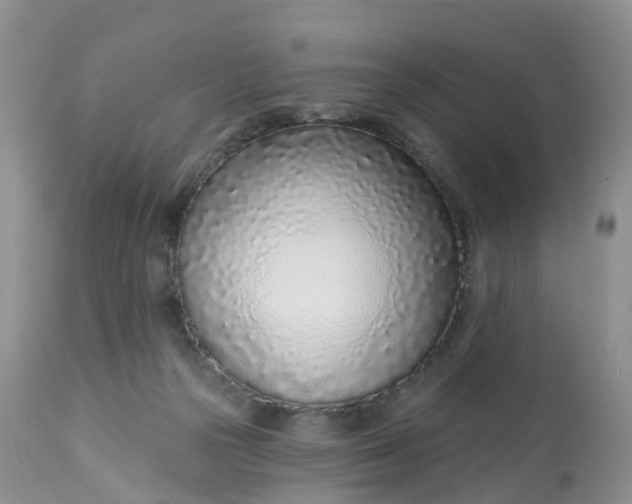 X0000113100169200909111100