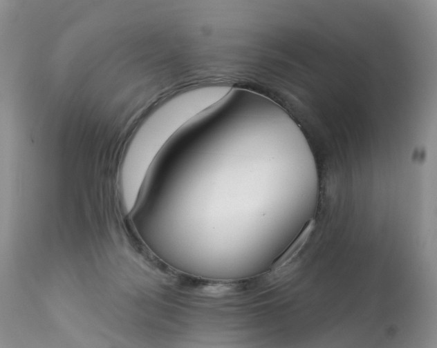 X0000113100172200909111100