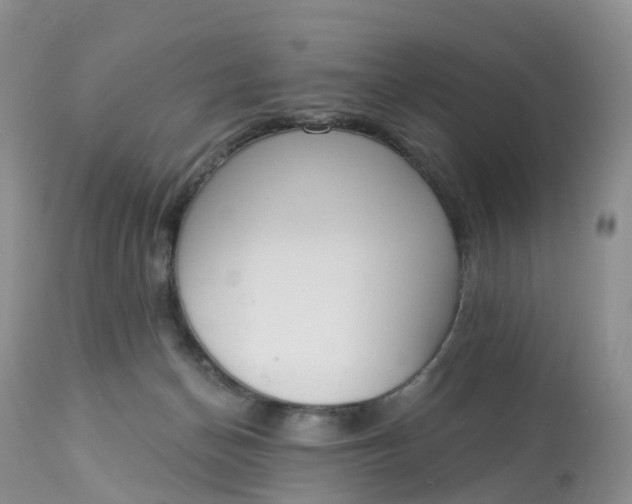 X0000113100174200909111100
