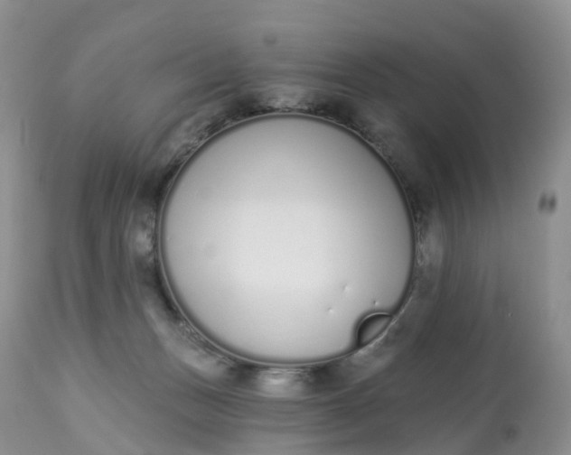 X0000113100175200909111100