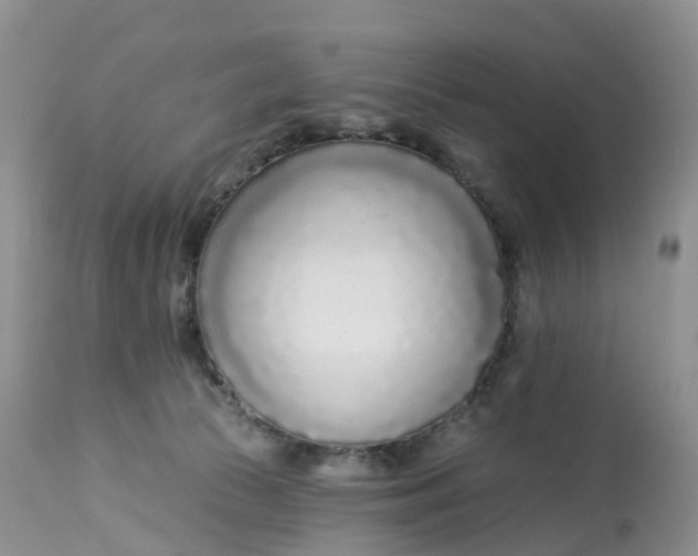 X0000113100177200909111100