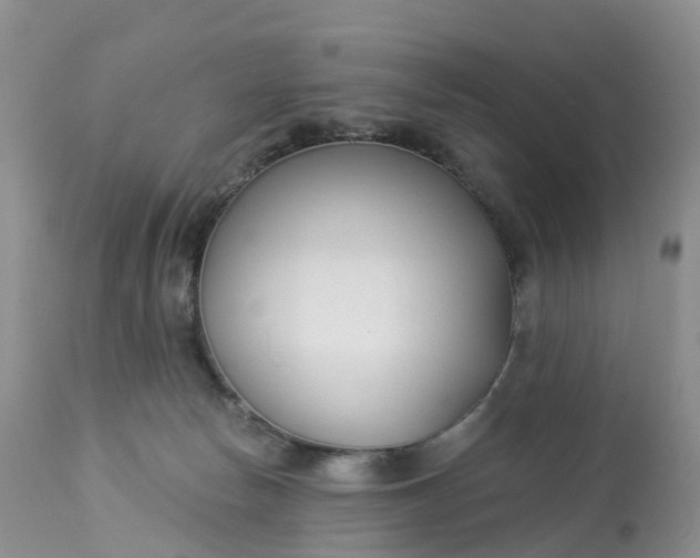 X0000113100178200909111100