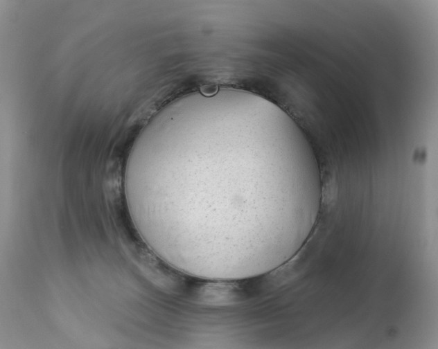 X0000113100179200909111100