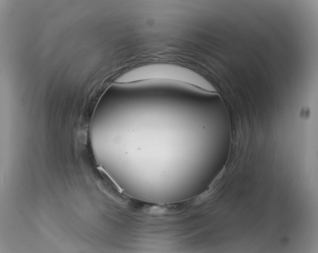 X0000113100180200909111100