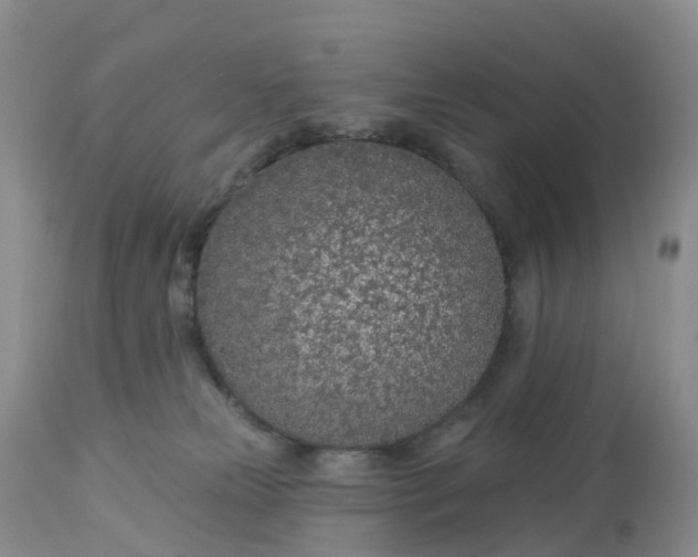 X0000113100181200909111100