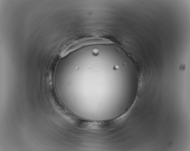 X0000113100182200909111100