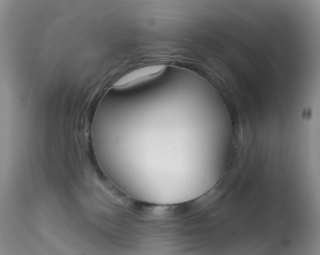 X0000113100184200909111100