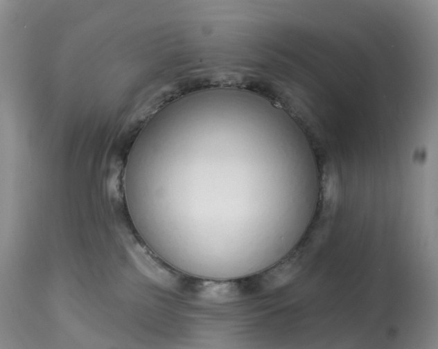 X0000113100185200909111100