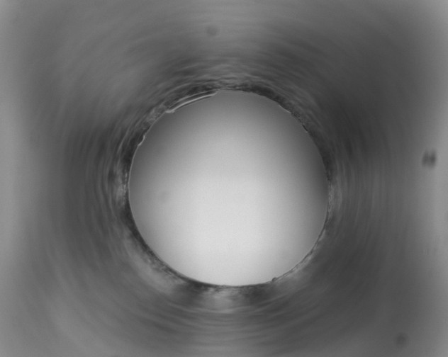 X0000113100186200909111100