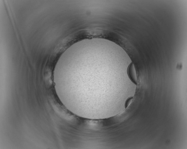 X0000113100187200909111100