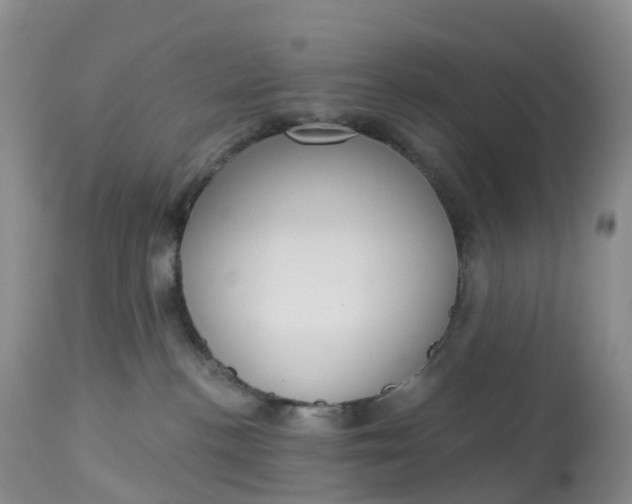 X0000113100188200909111100