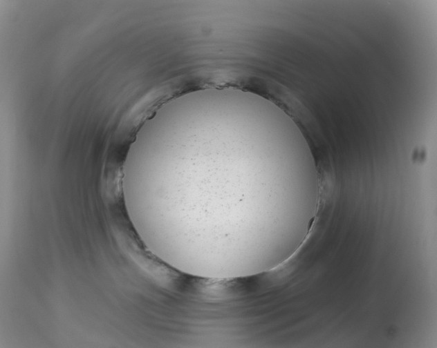 X0000113100191200909111100