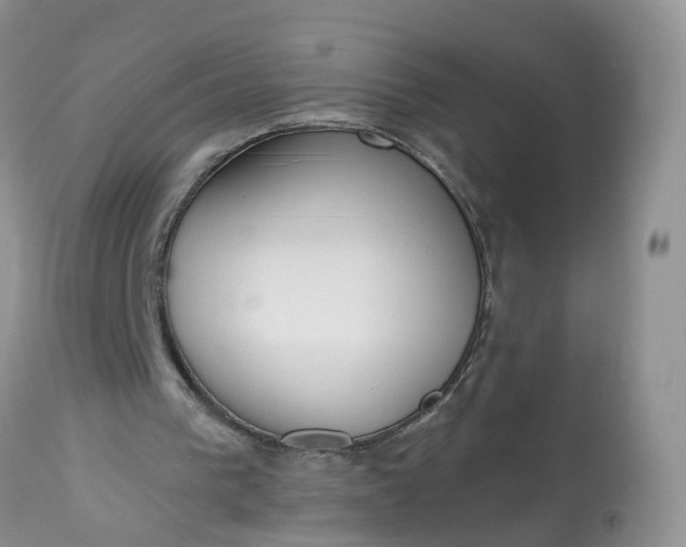 X0000113100193200909111100