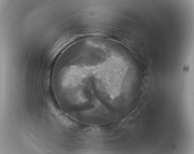 X0000113100194200909111100