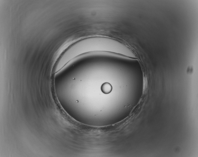 X0000113100195200909111100
