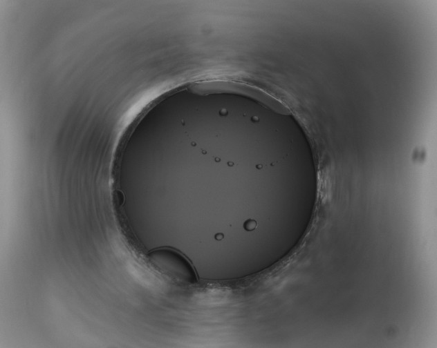 X0000113100196200909111100
