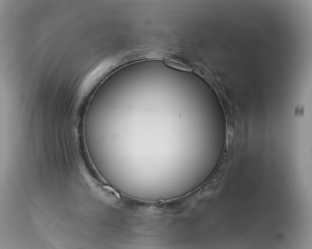 X0000113100197200909111100