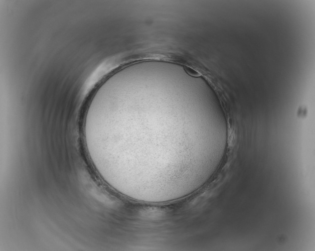 X0000113100198200909111100