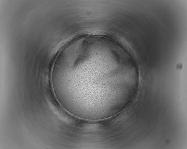 X0000113100202200909111100