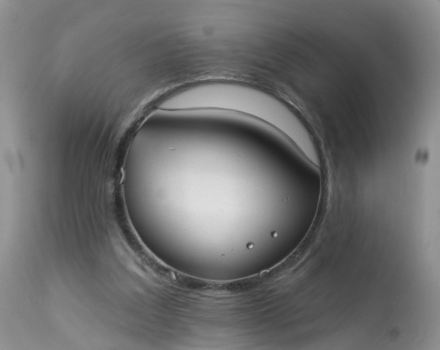 X0000113100203200909111100