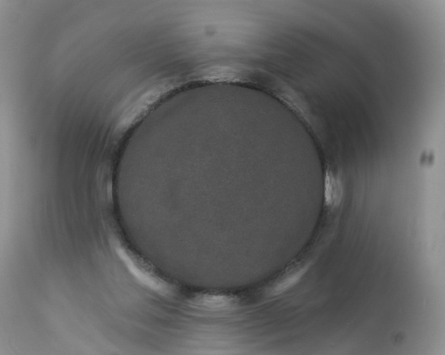 X0000113100205200909111100