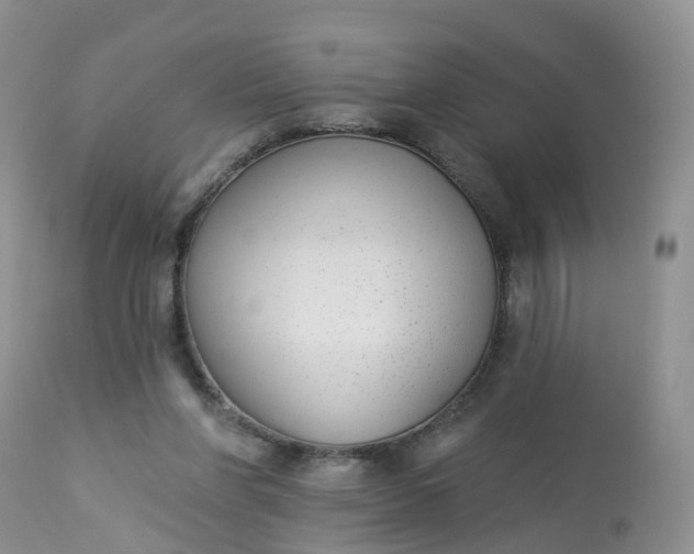 X0000113100206200909111059