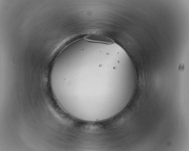 X0000113100208200909111059