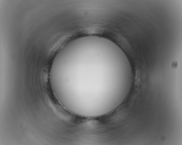 X0000113100210200909111059