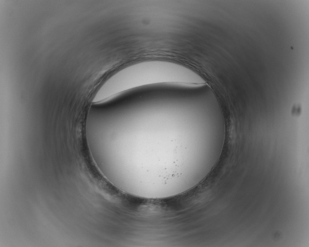 X0000113100211200909111059