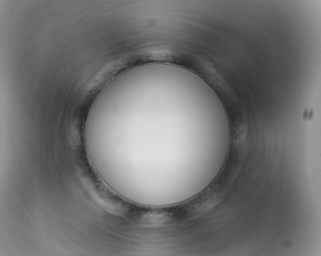 X0000113100213200909111059