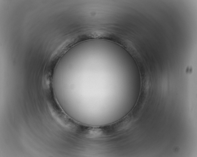 X0000113100214200909111059