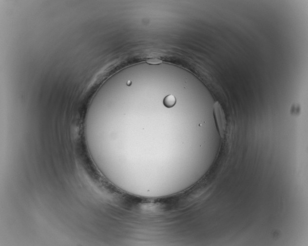 X0000113100216200909111059