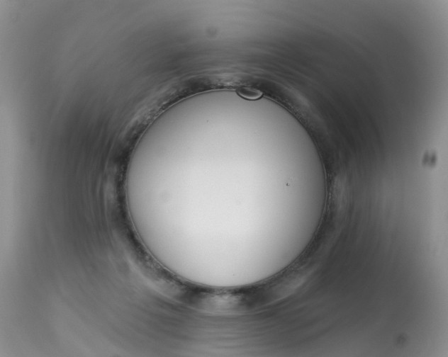 X0000113100217200909111059