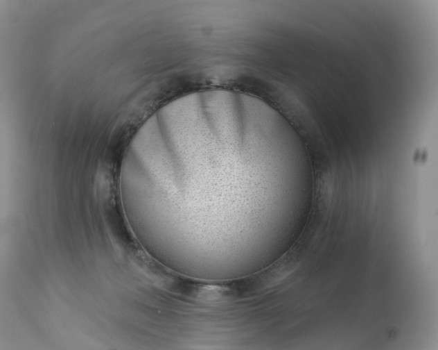 X0000113100222200909111059