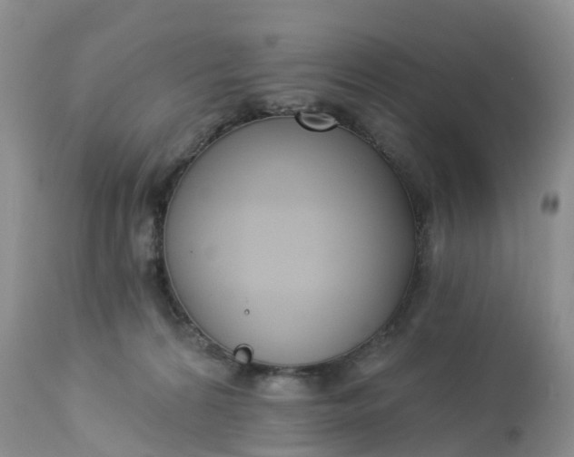 X0000113100224200909111059