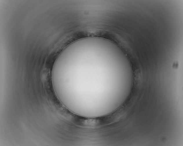 X0000113100225200909111059