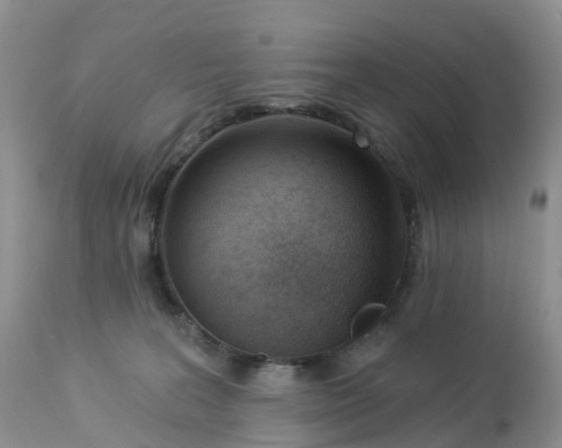X0000113100227200909111059