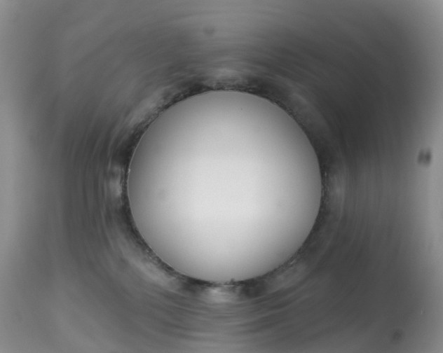 X0000113100232200909111059