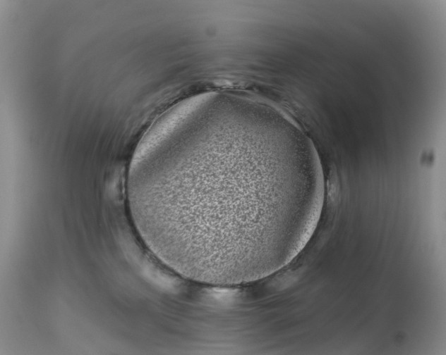 X0000113100233200909111059
