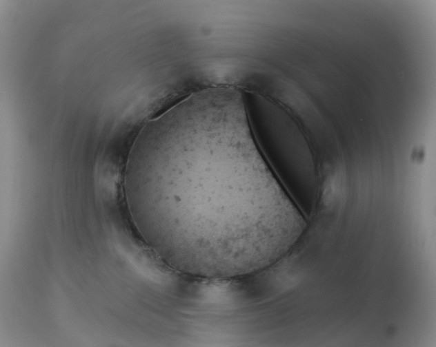 X0000113100235200909111059