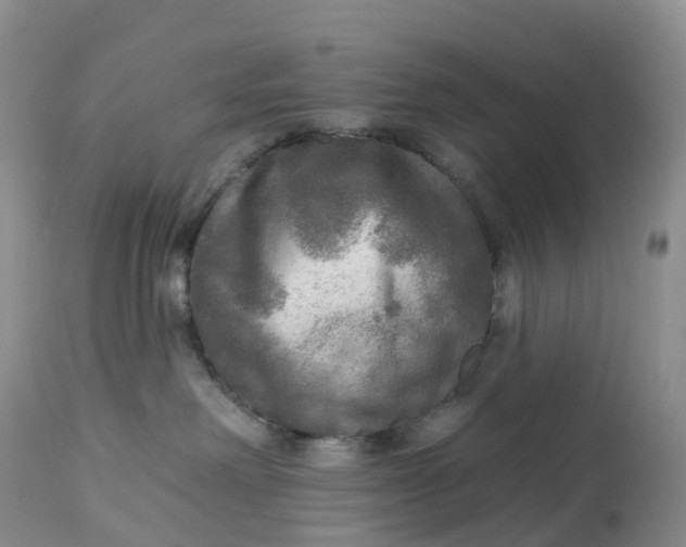 X0000113100238200909111059