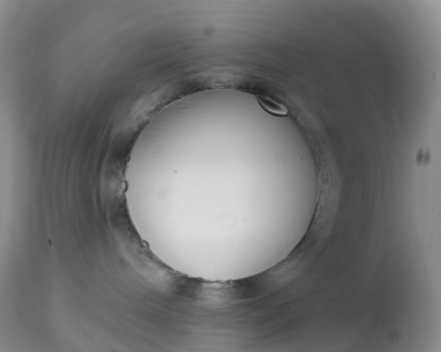 X0000113100240200909111059
