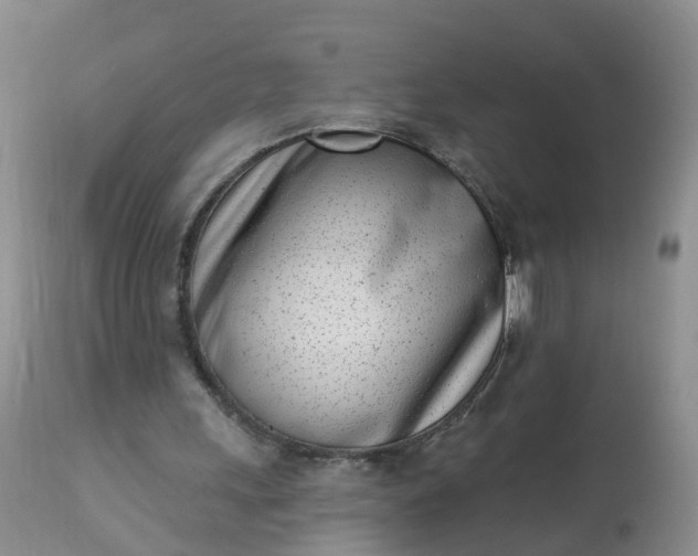 X0000113100243200909111058