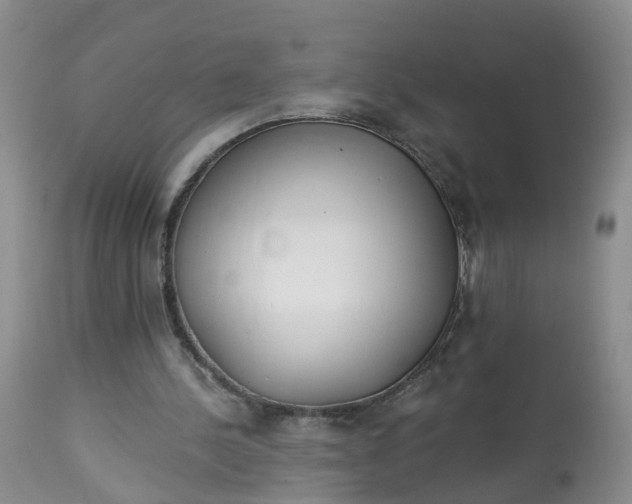 X0000113100244200909111058