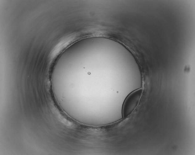X0000113100245200909111058