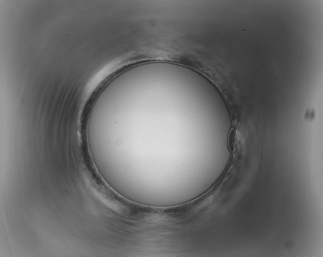 X0000113100246200909111058
